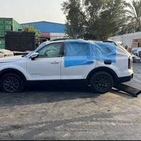 للتفصيخ ان شاء الله الله يطرحلنا بيهن الخير والبركه ان شاء الله وصول س...