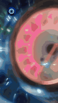 سلام عليكم شباب درجة شادو 400 دراجة رمبه او مكفولة كفاله  عامة ماشية 47 الف تجي او اشوف النضافه دراجة اي بي اي العنوان بغداد استفسار *********** سعر خاص بدون رقم الدرجة فقط مكاتبه
