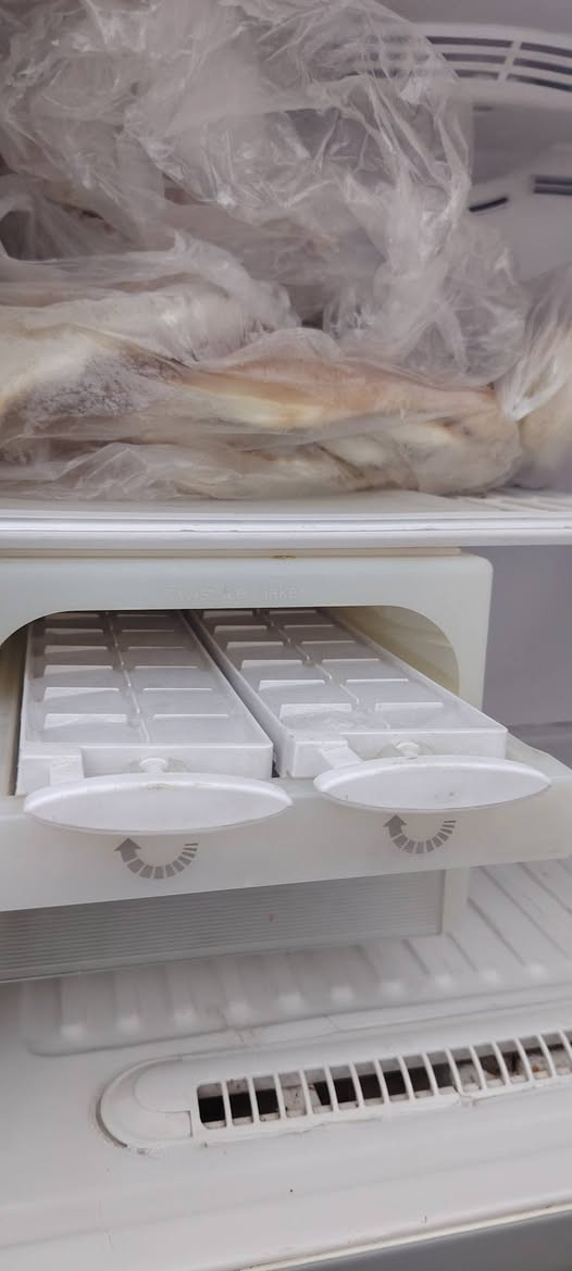 نوعيه هيتاشي  سعر 400


**إذا كنت صاحب هذا الإعلان وتريد حذفه لأي سبب، رجاءا أرسل رسالة إلى الدعم الفني**