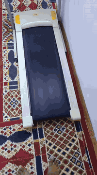 جهاز رياضه نظيف مثل مامضح بلفيديو 

وبي هتزاز للخصر ولبطن تدليك لظهر يعني مفول 

سعر 200وبي مجال مكان كربلاء طويريج برجيبه 

اتصل ع رقم  ***********او واتساب
