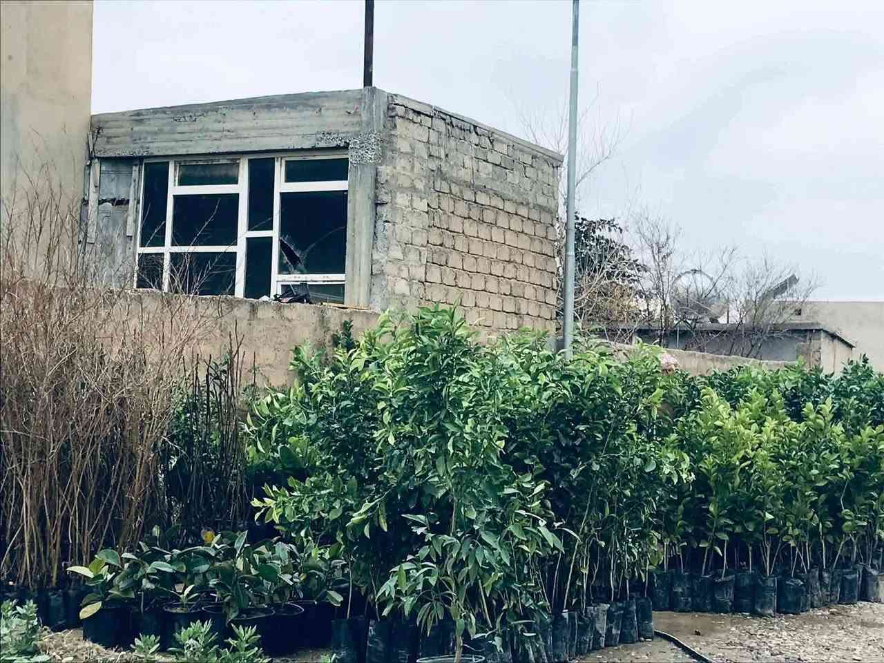 بـــســم الله الــرحــمــن الــرحــيــم
يــعــلـــن مشتل #أبو_ابراهيم  عنوان التميز والأبداع🔥

عن وصول مجموعة جديدة من الأشجار  (النفضيات)(والحمضيات)(وغيرها) من الاشجار بكافة الأنواع والأحجام متوفرة في مشتل #أبو_ابراهيم🍃

النوعية المميزة والفاكهة العراقية الجيدة بكافة اصنافها فقط في مشتلنا 🔥

العنوان:(الشرقاط/ #بداية_أسديرة_وسطى مقابيل جملون فائق الجرو للحديد)

للأستفسار اكثر الأتصال ع (***********
