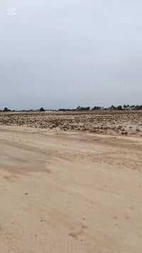 دوانم في الجسر الفرنسي منطقة ام العبيد طابو 25 والسعار مناسبه للاستفسا...