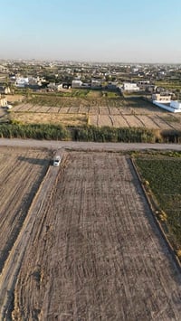 الرمادي البوذياب • دونم • طابو زراعي