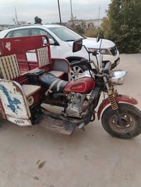 ستوتة • بدون اوراق • علي الشرجي