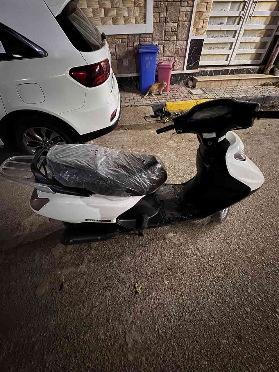 السلام عليكم دراجه للبيع مكاني الكوت الزهراء سعرها600وبي مجال تصل على رقم وبيك خير ودلل
***********
