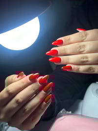 جل اكستيشن • نون سبا • السيدية