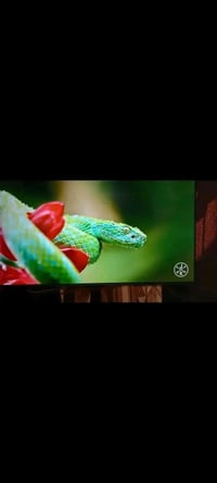 شاشه هايسنس U7Q 2025 الي هيه أحدث موديل ب U7 وأفضل موديل شاشه mini led...