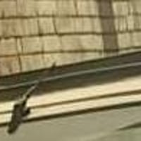 سيبايه بيجو رواء للبيع  قيم وخذه سيبايه جديده 07718394451 مكان بغداد ل...