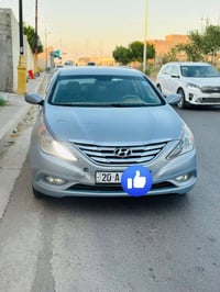 سوناتا • ٢٠١١ • بنيد صبغ