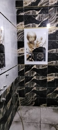 ابو يحي المصري خلفه سيراميك درجة اولي متفرخ حاليا موجود بغداد الجديدة ...