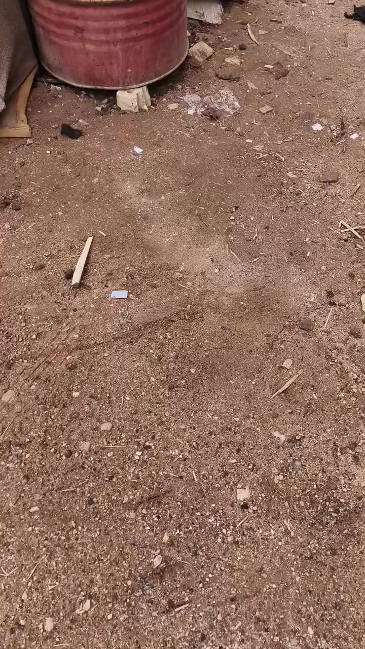 السلام عليكم 
يوجد خشب للبيع العدد 12 مكعب مع المقاصير 
***********
