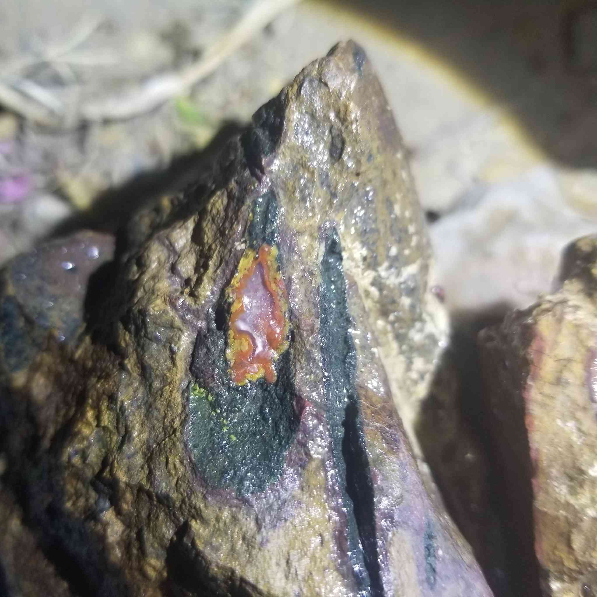 @#عقيق #يماني


**إذا كنت صاحب هذا الإعلان وتريد حذفه لأي سبب، رجاءا أرسل رسالة إلى الدعم الفني**