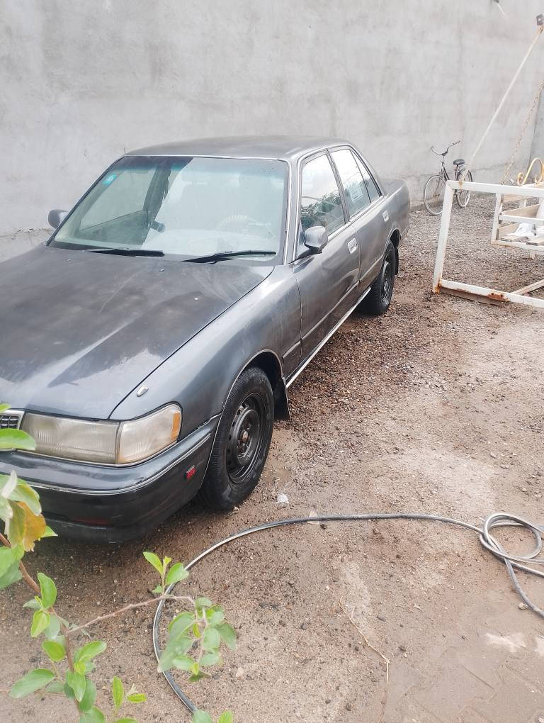 مارك تكم سياره كفاله من كل شي سنويه لل30 مكان بصره أبو الخصيب سعر 48مجال بسيط***********
