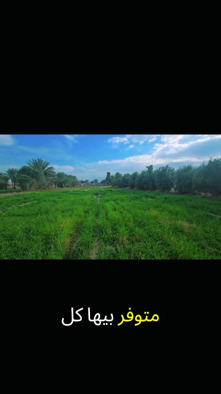 قطع أراضي للبيع

المساحة الكلية 3 دونم
زراعي سند  25
الموقع: حلة / صياحية
قرب كوين بارك
سعر الدونم الواحد 150 مليون
موقع مميز ومناسب للاستثمار أو السكن

للاستفسار:
***********
