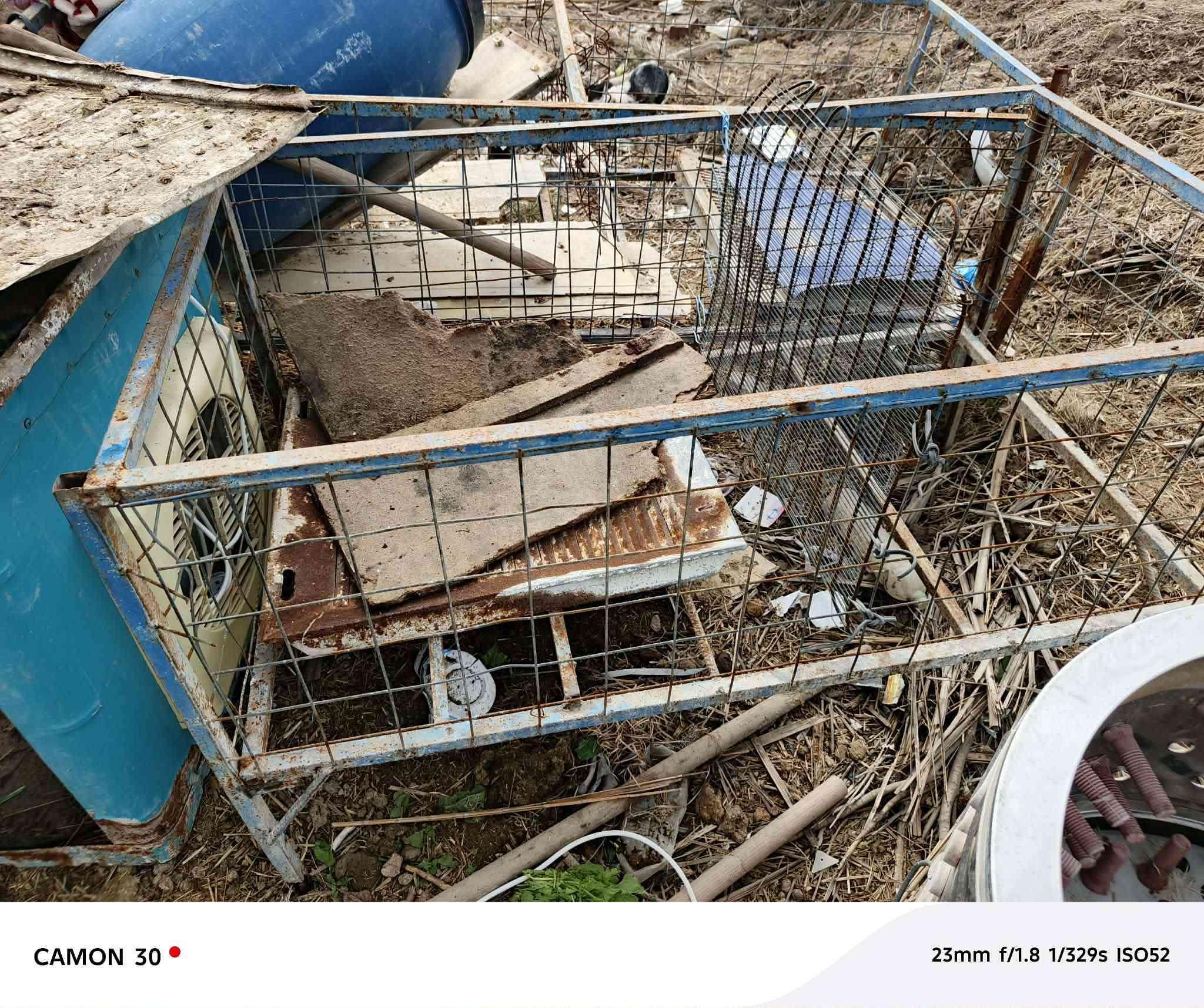 هلاسه دجاج درجه اوله
مع عدد اقفاص 2
للبيع 
رقم ***********
