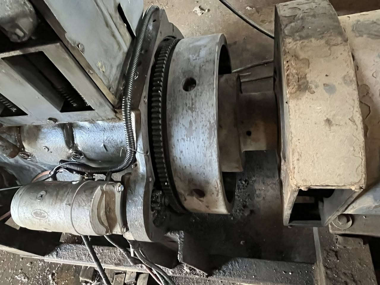 السلام عليكم 
دويس حجم 912 
لل بيع مولدة 24 كيفي 
***********عنوان تكريت 
سعر 17ورقه
