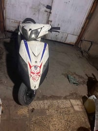 ثعلب • شغاله • بحاجة كفرات