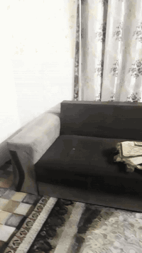 البيع 75الف 07721714071 بغداد الحريه