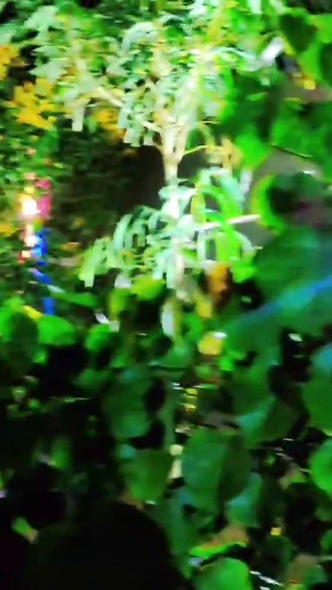 ***********
مزرعه للبيع عنوان حولي الخصيمه مقابيل توزيعه شهداء ركن صايره تبليط ماء كهرباء اناره كامله ٤٥٠ متر
