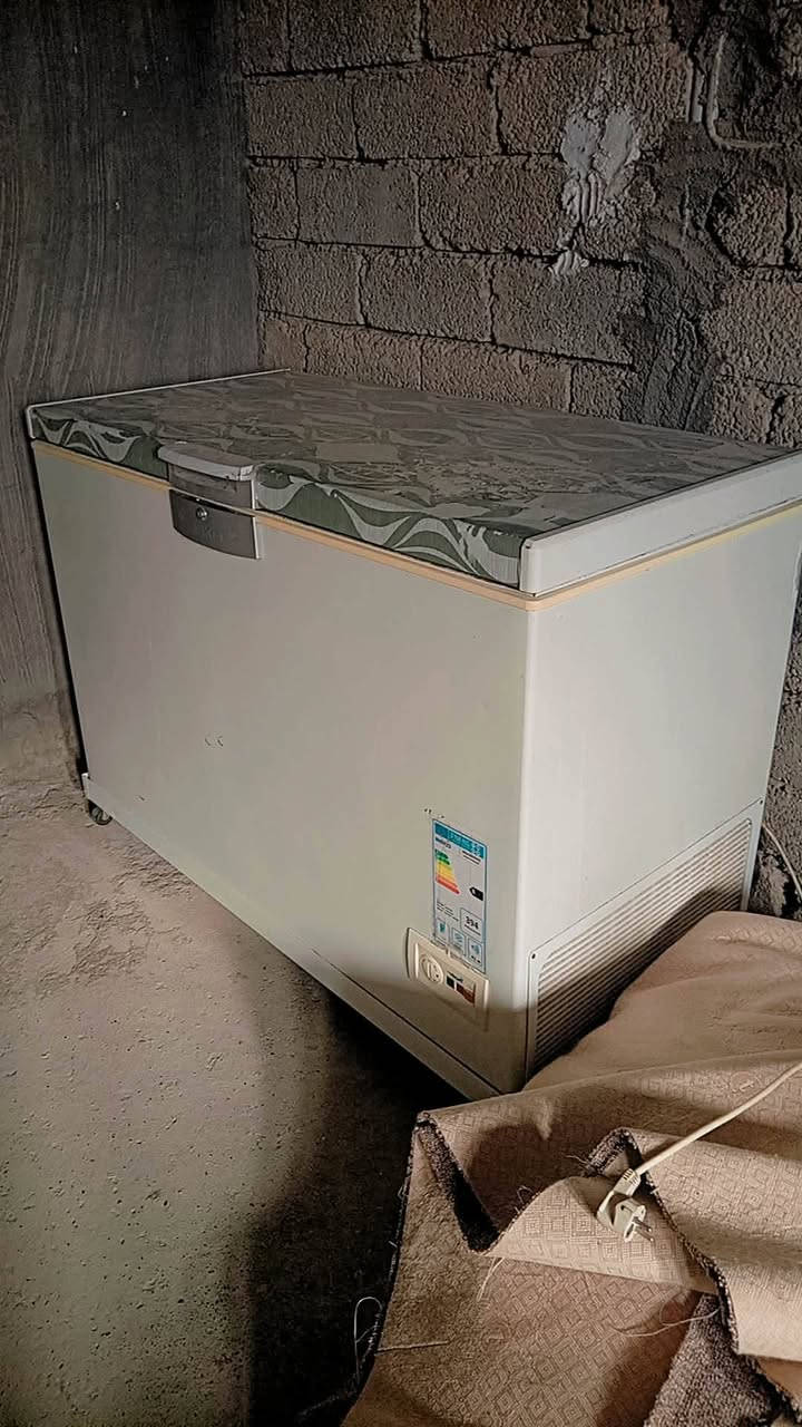 مجمده نضيفه حجم كبير بشرط ثلج فول سعر ١٤٠ بي مجال مكان دوميز


**إذا كنت صاحب هذا الإعلان وتريد حذفه لأي سبب، رجاءا أرسل رسالة إلى الدعم الفني**