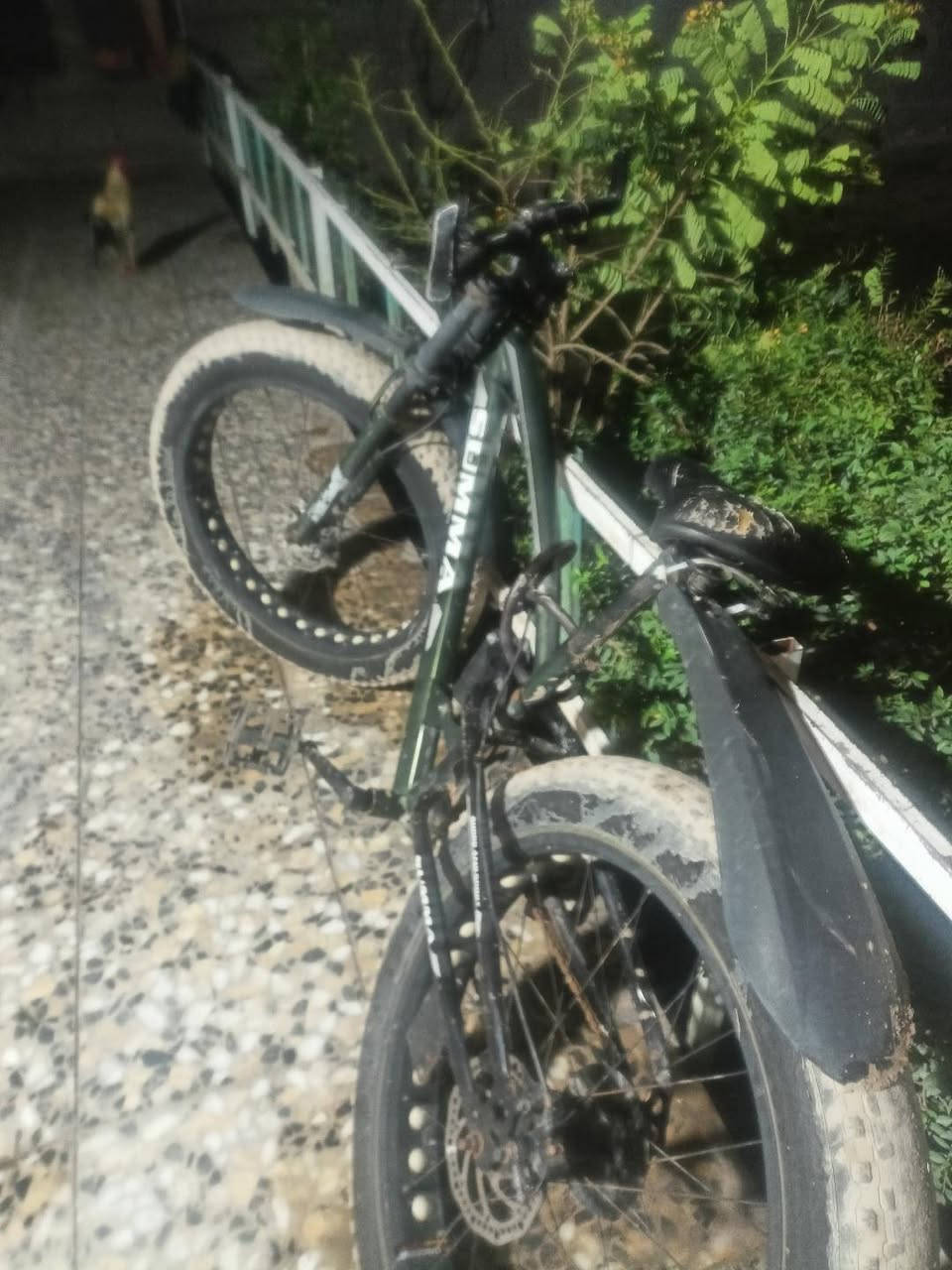 سلام عليكم بايسكلات بايك دبابه الاخضر امريكي وثاني باله بايسكلات نضيفات يرادلهن بس سرج واير بريكات اكثر سعر واحد ١٦٠اذا ثنينهن ٢٨٠رقم***********
