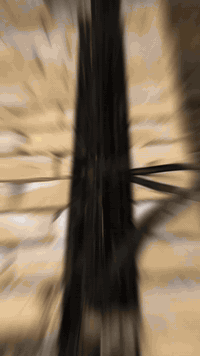 تأسيسات كهربائية • تمديدات حديثة • قواطع حماية