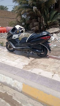 فورزا • شغال • ديالى كنعان