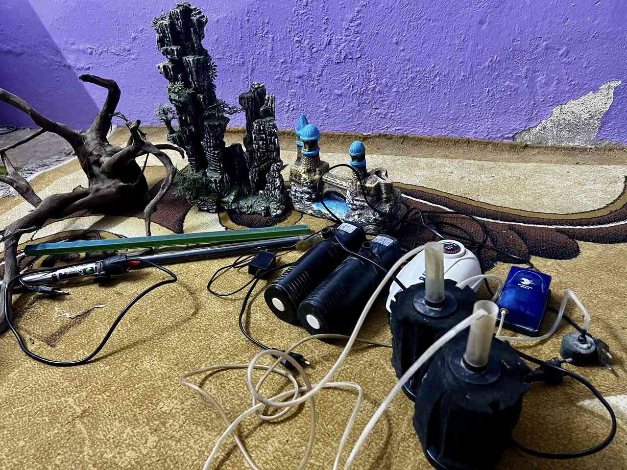 غراض اسماك الزينه للبيع
حوض كبير الطول متر والارتفاع نص متر والعرض نص متر مع القاعدة 

هيتر + فلاتر عدد 2 إسفنجيات  مع ماطور + غطاس خشبي وزن 2 كيلو + انارة + ماطور اوكسجين عدد2 + شلال عدد2 مع الماطور + رمل بحري ابيض وزن20 كيلو  ورمل بركاني وزن 5 كيلو + تحفيات زينة عدد2

ادفع سعر إذا عجبني أبيعك والرزق على الله


**إذا كنت صاحب هذا الإعلان وتريد حذفه لأي سبب، رجاءا أرسل رسالة إلى الدعم الفني**