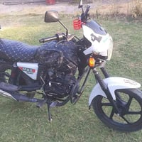 دايون ماكس • موديل 23 • دلي عباس