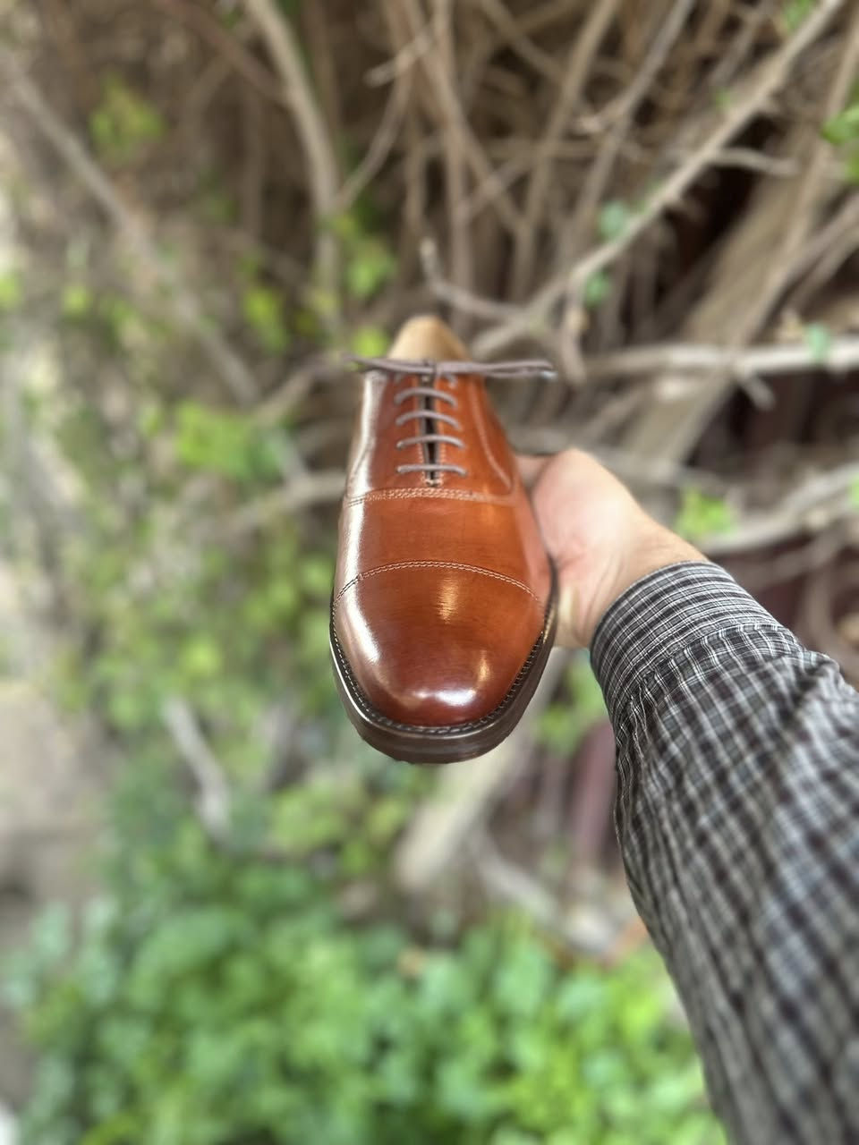 اكسفورد قياس 42
***********
