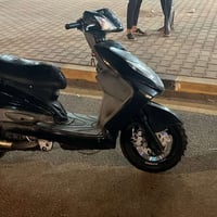 سكنس فحل • جبنه • ترتيبات