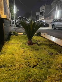 🔥 للبيع في السيدية – مربع المعلمين خلف شارع المدارس 🔥 📍 موقع مميز جداً...