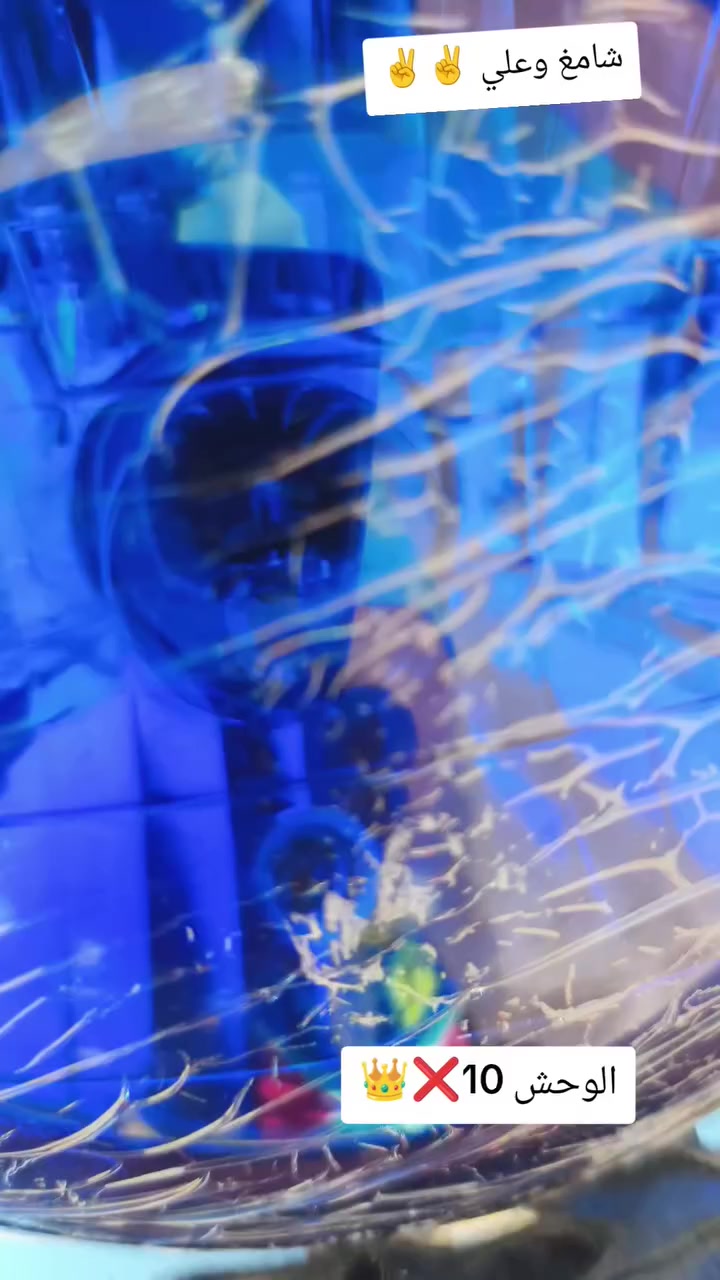 للبيع موديل 10 رقم وسنويه نكليزي مداور ثاني يوم مكينه 24 جديده ستوته برغي ماعايزه شاصي مكفول تعمير جديد مكاني نجف عباسيه سعر خاص رقمي ***********
