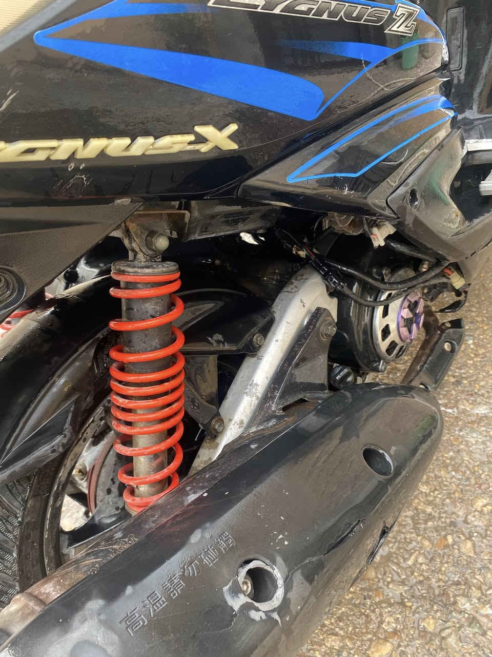 سكنس فحل للبيع ***********
