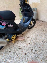 ماكس عدلة • كفالة • معدل