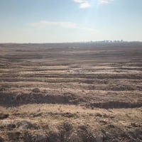 طابو زراعي • ٦٢٥٠م • النعيمية