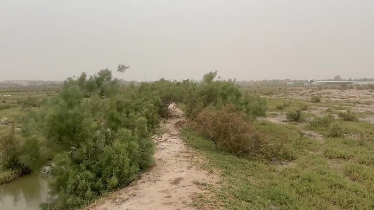 دوانم زراعي للبيع المساحه 11 دونم مكان مميز خدمات كامله طريق سوق الشيوخ فضليه أسعار مناسبه سعر دونم 12 تريد كلهن سعر يختلف تريد عدد منهن عادي مكان يصلح سكن وزراعه 

‭٠٧٨٧ ١٢٠ ٦٢٧١‬

