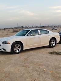 بتكريت • يروح شركاط • خدمة