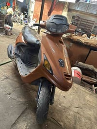 دراجة فراشة • فحل • عشار البصرة