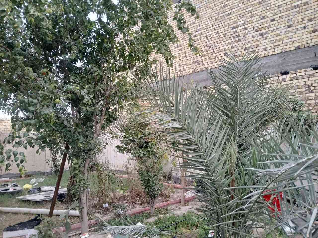 السلام عليكم
بيت للبيع زراعي سند ٢٥ متوفر كافة الخدمات مساحة ٤٠٠ متر

العنوان حي الأمين الأولى شارع التنانير

للاستفسار الاتصال على الرقم  ***********
