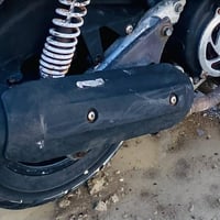 ثعلب • بلادية • مو للبيع