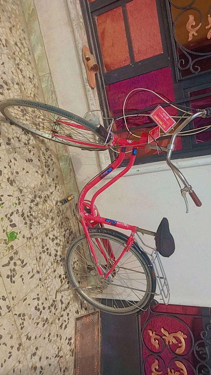 سلام عليكم 
بايسكل بناتي احمر للبيع
بايسكل كامل خفيف وبي عكرب
وبي قفل وبركات بايسكل كامل مرتب ونضيف
بس الايت مالته  مايشتغل يرادله حساس اعتقد
قيم وخذ بغداد كماليه اي استفسار عل رقم ***********
