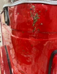 بابل ابو غرق • مكاني • سنويا