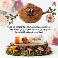 مقشر البابايا • DXN • ترطيب عميق