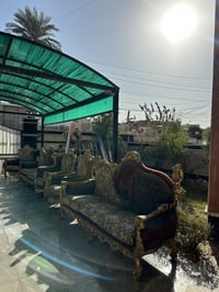 تخم مصري للبيع 10مقاعد بغداد الكرخ السعر 650 07717779949