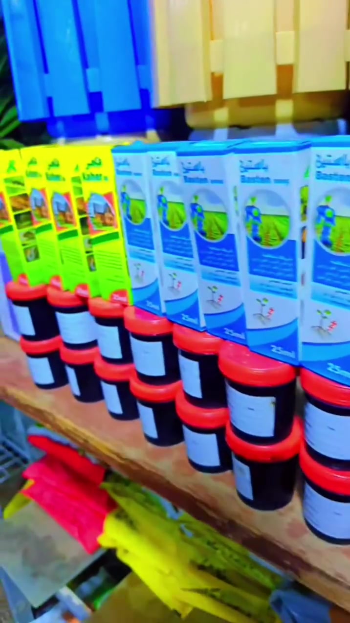 داخل ابو حسن الكناني  دامشتل الأخوين يوجد جميع أنواع  الورود الضلي شمسي  السنادين الفرفور بلاستك  متواجدين 9 صباحا إلى 12 اليلا مكان قلعة سكر يم الأطفال نزلة ثانيه  يريد ورد  وسنادين يجي خاص  يوجد توصي داخل قلعة سكر
  ا


**إذا كنت صاحب هذا الإعلان وتريد حذفه لأي سبب، رجاءا أرسل رسالة إلى الدعم الفني**
