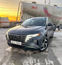 توسان لميتد • ٢٠٢٢ • حادث باب السائق