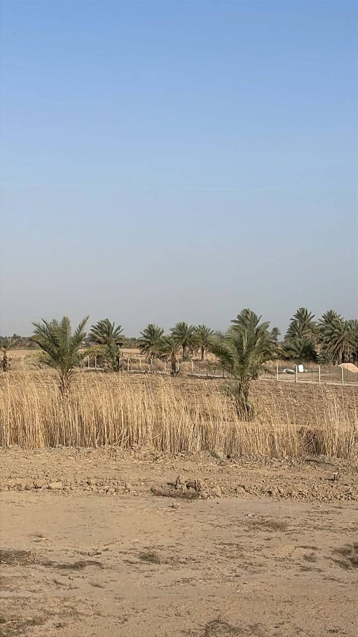 للبيع _ للبيع 

5 دوانم طابو سند25 واجهه 60 متر محددة 

ومثبته وفيها جميع الخدمات 

عرب جبور _ خلف مجمع الحوراء _ خلف المشروع الاروائي 
السعر للدونم 65 مليون 

للاستفسار ***********

يوجد واتس اب
