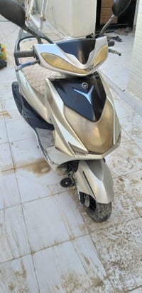 فول مواصفات • بصمتين • الناصرية الشطرة