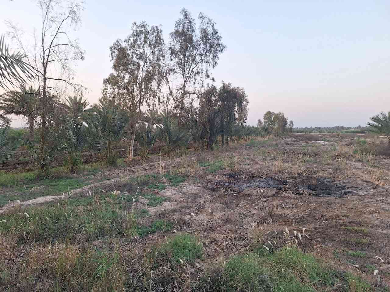 سلام عليكم ٧دونم  في كربلاء طابو سند ٢٥ وجهن٧٥متر وياهن بيت  للبيع طريق كربلاء نجف طريق ياحسين وتنزل ٢ كيلومنطقه الجذارخدمات كامله شارع تبليط عرضه ١٢ متر  مي كهرباء خط مولد مدارس التفاصيل اكثر اتصل ***********
 ***********

